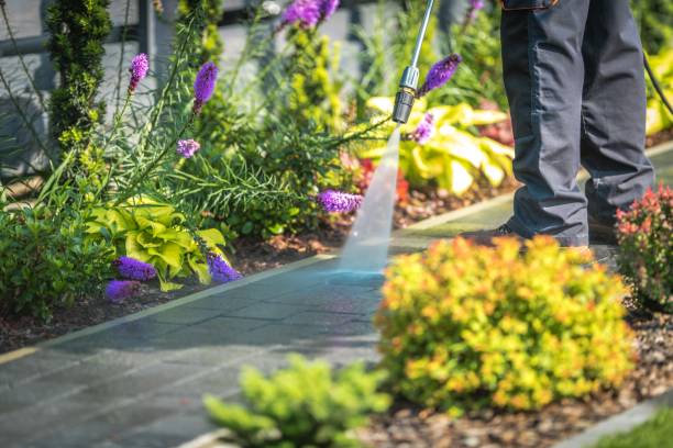 Trusted Port Ludlow, WA  Pressure Washing Services Experts
